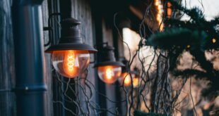 Landscape Lighting Installation