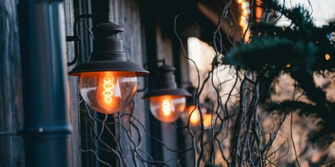 Landscape Lighting Installation