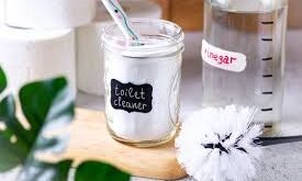 diy toilet bowl cleaner