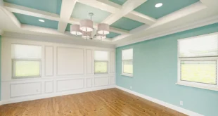ceiling paint color design