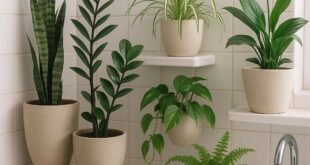 low light bathroom plants
