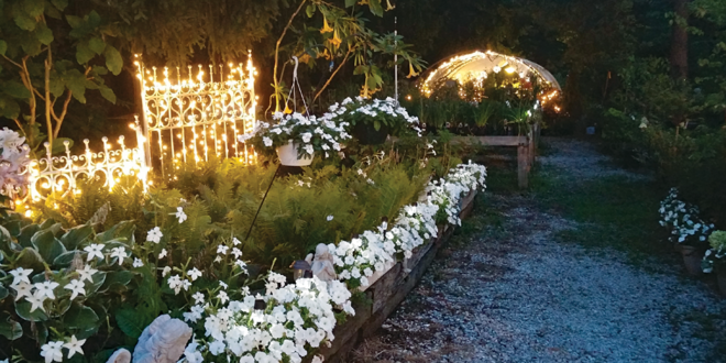 night blooming flowers