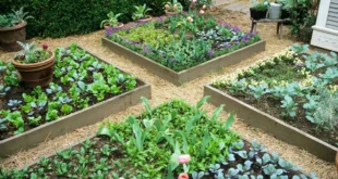 raised bed garden ideas